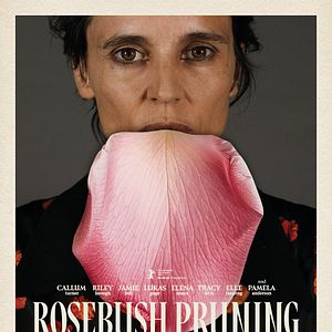 Bilder Rosebush Pruning