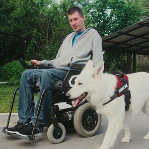 Bilder Was Hunde denken