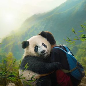 Bilder Moon, der Panda