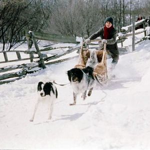 Bilder Kayla - Mein Freund aus der Wildnis