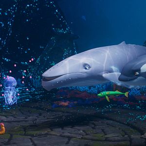 Bilder Der letzte Walsänger