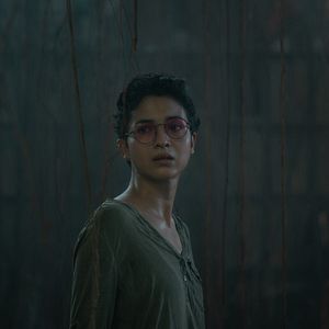 Bilder Borderless Fog