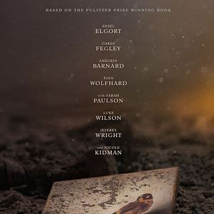 Bilder Der Distelfink