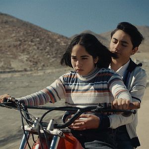 Bilder Der geheimnisvolle Blick des Flamingos