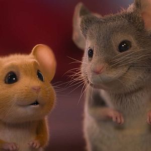 Bilder Mission: Mäusejagd - Chaos unterm Weihnachtsbaum