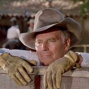 Bilder Ein Mann aus Stahl