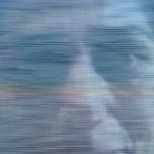 Bilder Die Mechanik der Dinge