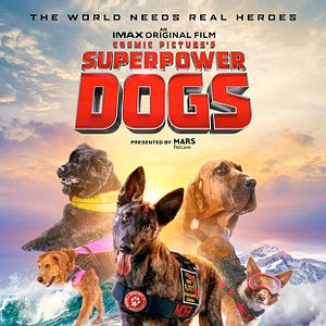 Bilder Superpower Dogs