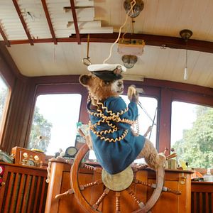 Bilder Paddington in Peru