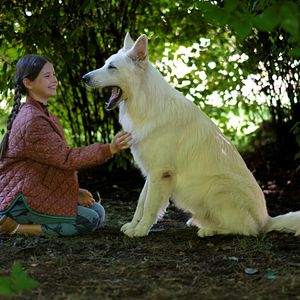 Bilder Lampo - Ein Vierbeiner auf Reisen