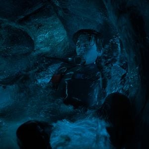 Bilder Whalefall