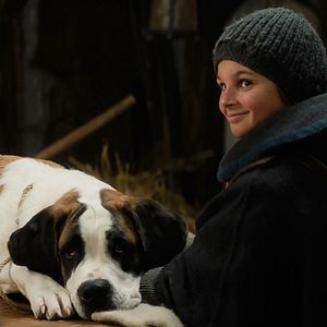 Bilder Mein Freund Barry