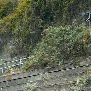 Bilder Architektur des Glücks