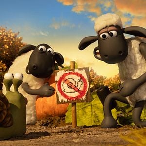 Bilder Shaun das Schaf - Spuk im Kürbisfeld