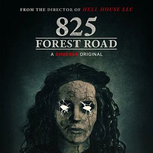 Bilder 825 Forest Road