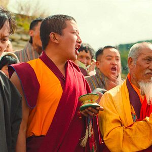 Bilder Was will der Lama mit dem Gewehr?