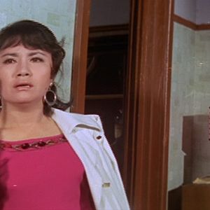 Bilder The Sense of Violence