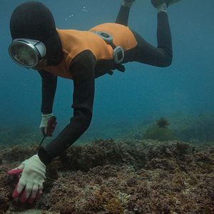 Bilder Die letzten Frauen des Meeres