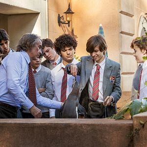 Bilder Der Pinguin meines Lebens