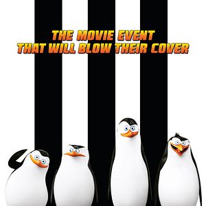 Bilder Die Pinguine aus Madagascar