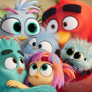 Bilder The Angry Birds 3 - Der Film