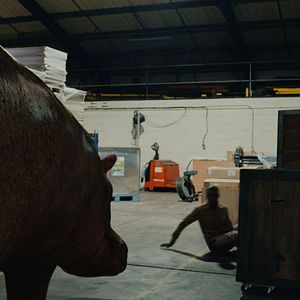 Bilder Hippo's Revenge - Drei Tonnen Zorn