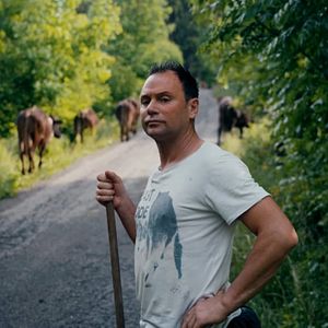 Bilder Gefährlich nah – Wenn Bären töten