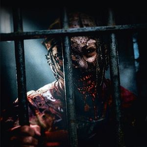 Bilder Fresh Meat