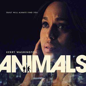 Bilder Animals