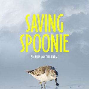 Bilder Saving Spoonie