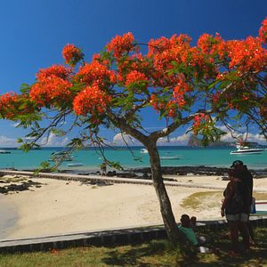 Bilder Mauritius - Die Fernwehmacher unterwegs im Tropenparadies
