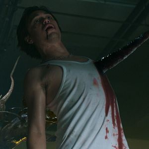 Bilder Creepy Crawly