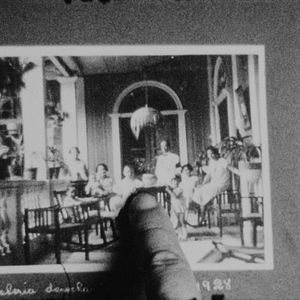 Bilder The Memory Of Butterflies