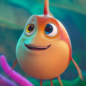 Bilder Alles für die Katz