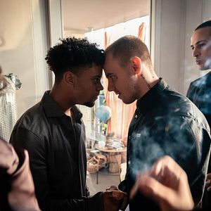 Bilder Adrian Vasile But