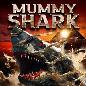 Bilder Mummy Shark