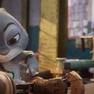 Bilder Der schlaue Hase Momo – Die große Verfolgung