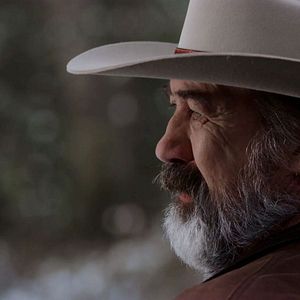 Bilder Mein Traum zu Weihnachten