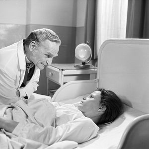 Bilder Fleur Lafontaine