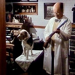 Bilder Die Spur der zweiten Frau