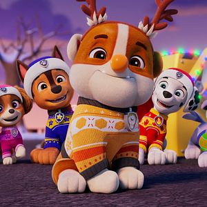 Bilder Paw Patrol: Rubbles Weihnachtswunsch
