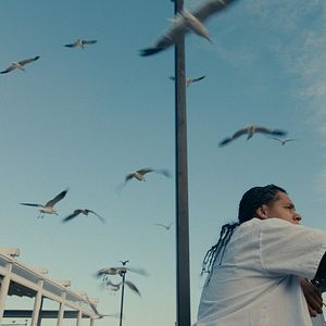 Bilder Mad Bills to Pay (or Destiny, dile que no soy malo)