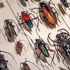 Bilder Archiv der Zukunft