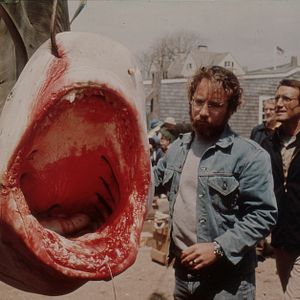 Bilder Der weiße Hai