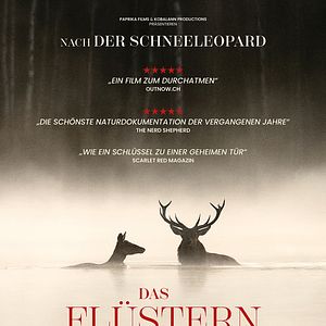 Bilder Das Flüstern der Wälder