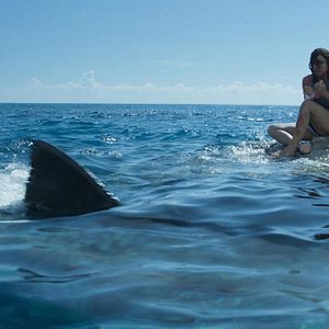 Bilder Something In The Water