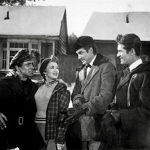 Bilder Allen Gefahren zum Trotz