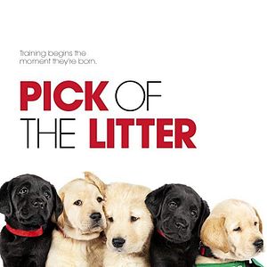 Bilder Pick of the Litter