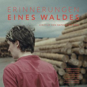Bilder Erinnerungen eines Waldes