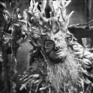 Bilder Der Troll und der Musikant